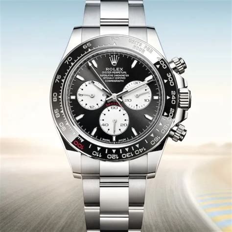 rolex fallisce|robb report rolex.